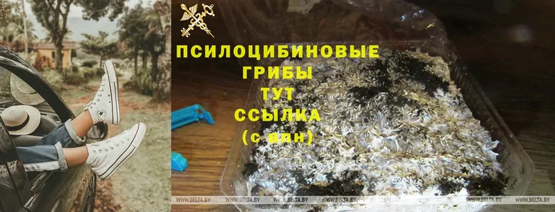 Галлюциногенные грибы GOLDEN TEACHER Зима